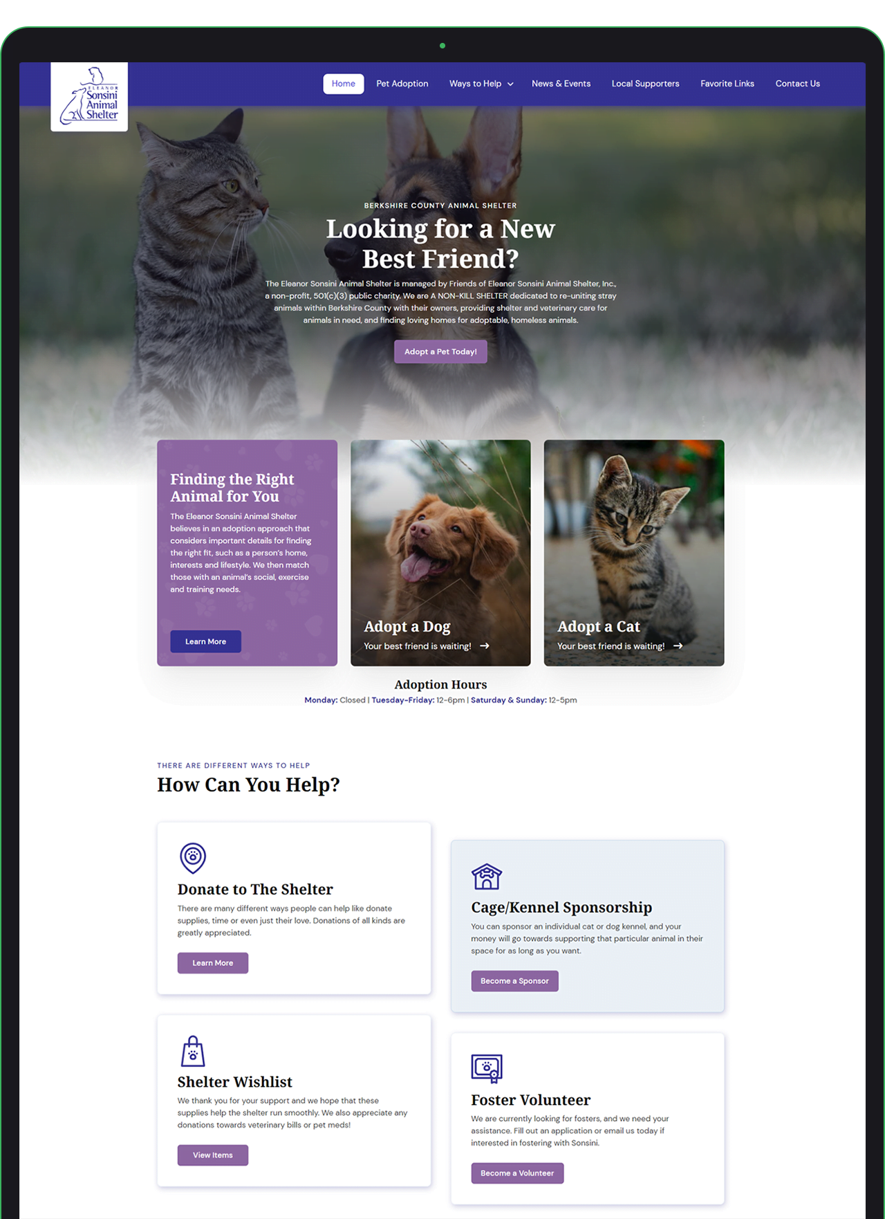 Web Design for Animal Shelters